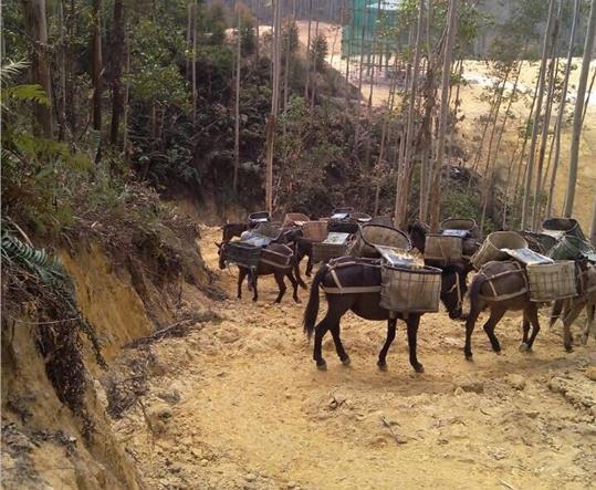 龙华区马帮山路运输