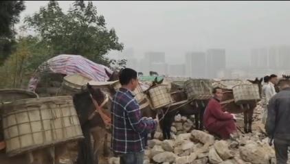 龙华区骡马山区运输