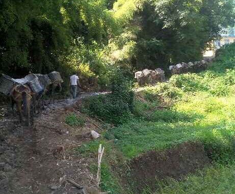 龙华区马帮运输队