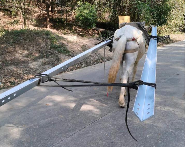 龙华区马队搬运