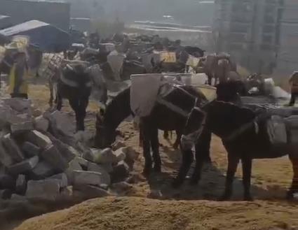 龙华区马队山路运输