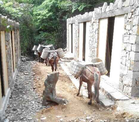 龙华区马队运输队