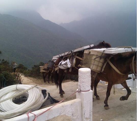 龙华区山区马帮运输